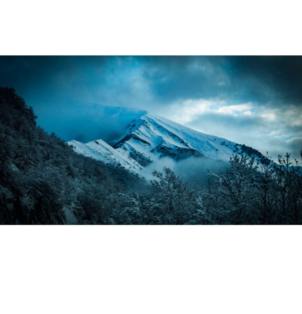 Website Photos (2)
